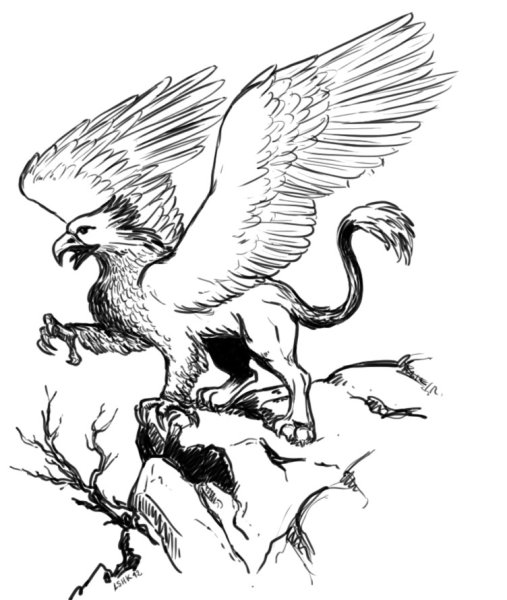 Грифон Графика