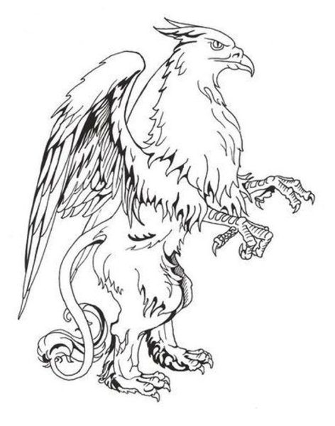 Тату Грифон птица