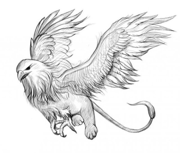 Грифон рисунок