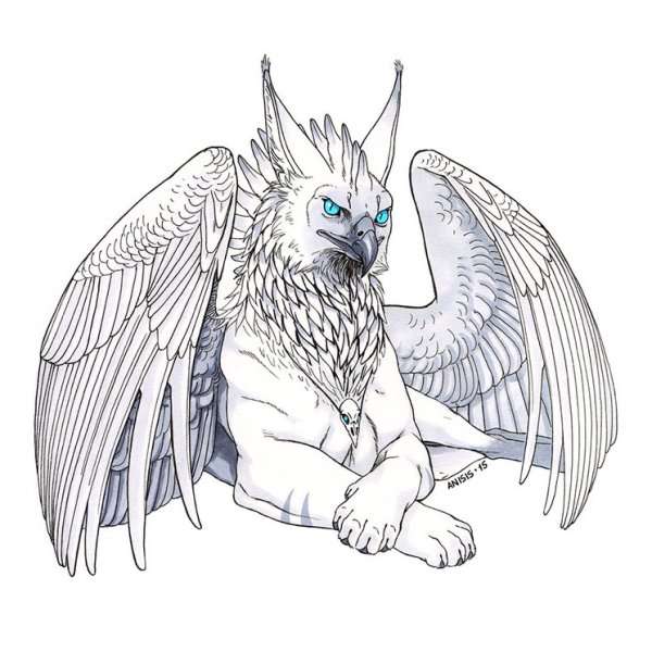 Зарисовки грифона