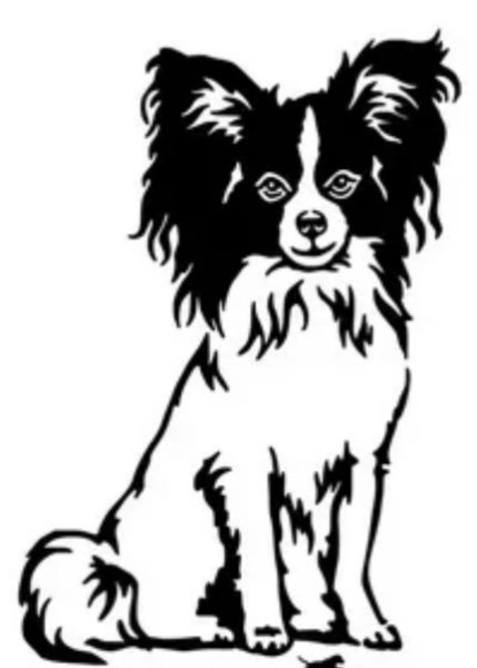 Папильон вектор