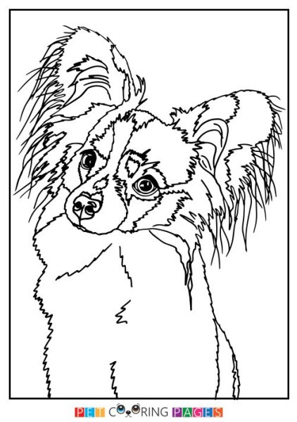 Раскраска Папильон щенок