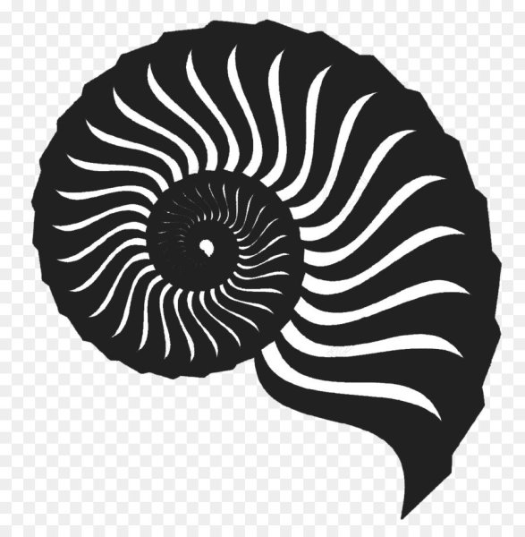 Наутилус раковина силуэт