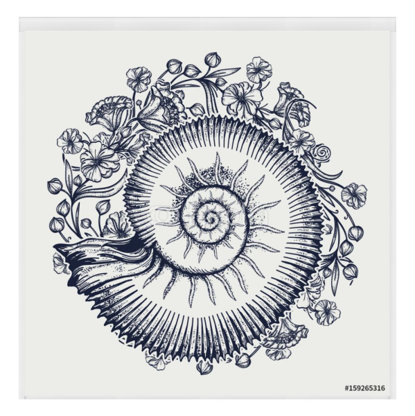 Аммонит тату