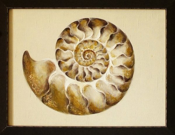 Стилизованная Ракушка