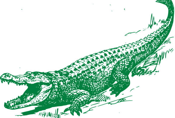 Графический крокодил