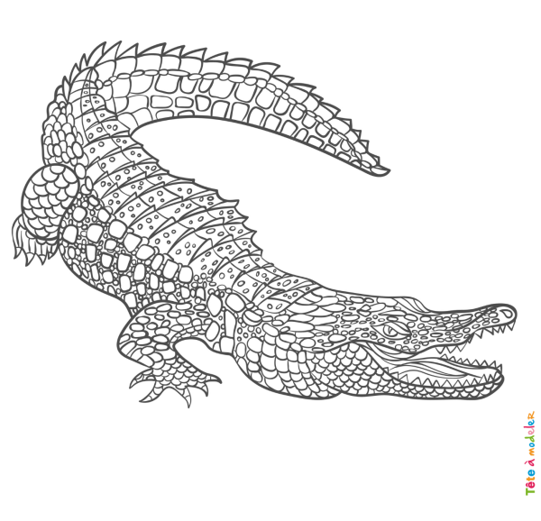 Трайбл крокодил тату