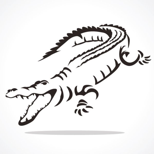 Крокодил рисунок