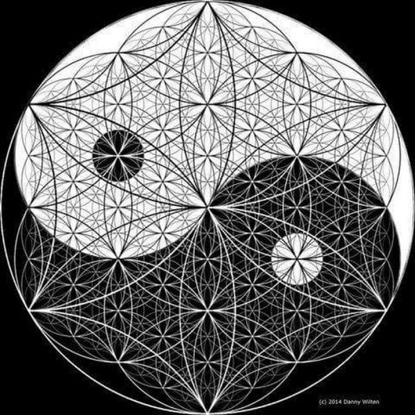 Цветок жизни Инь Янь