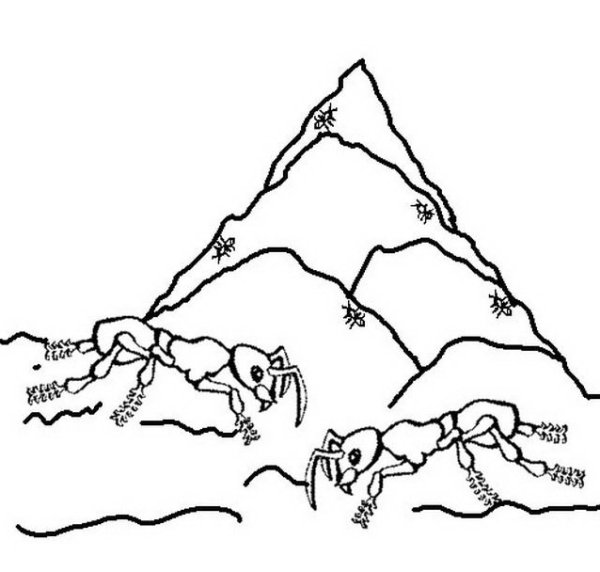 Муравьи рабовладельцы гнездо