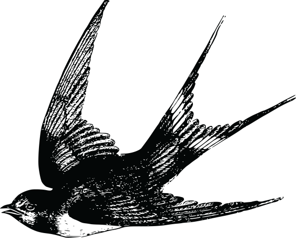 Ласточка картинка для детей