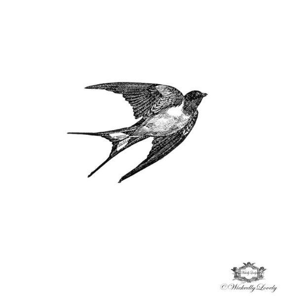 Ласточка эскиз