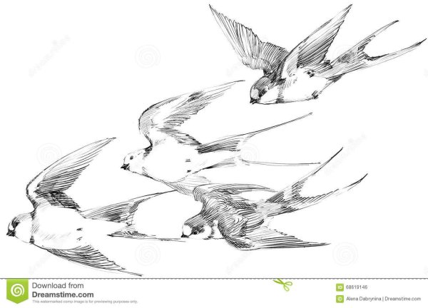Ласточка в полете эскиз