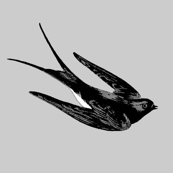 Ласточка зарисовка