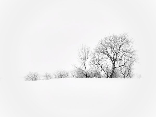 Туча раскраска