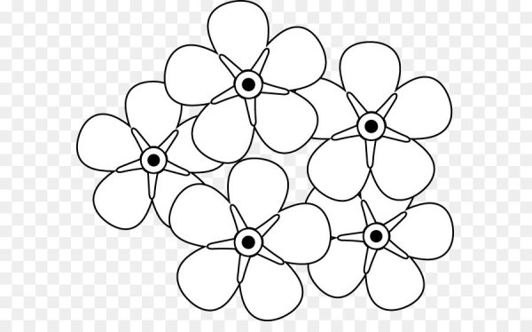 Незабудка раскраска