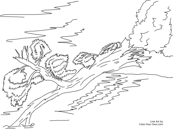 Ручей раскраска