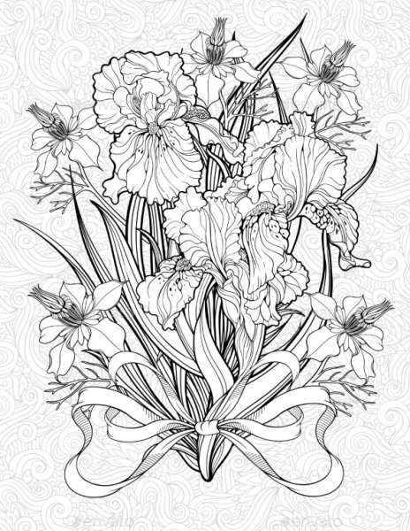 Антистресс ирисы