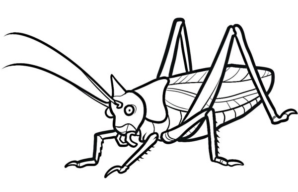 Кузнечик карандашом