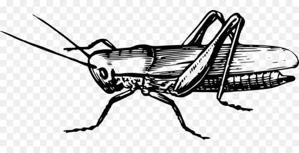 Трафарет кузнечика для вырезания