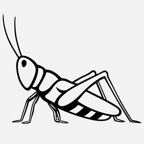 Кузнечик рисунок
