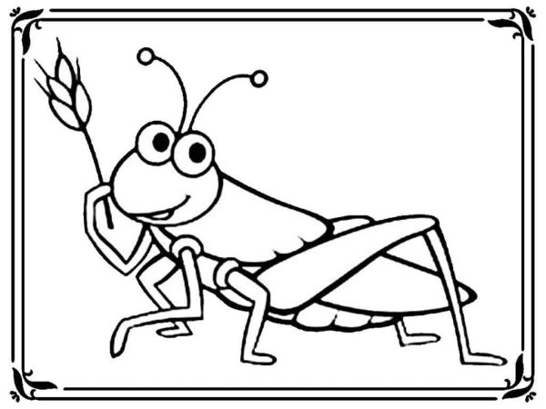 Кузнечик Графика