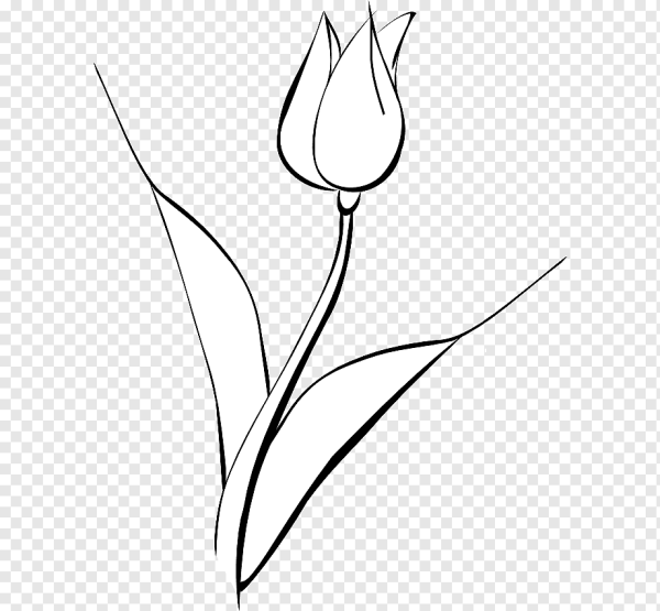 Стилизованные тюльпаны