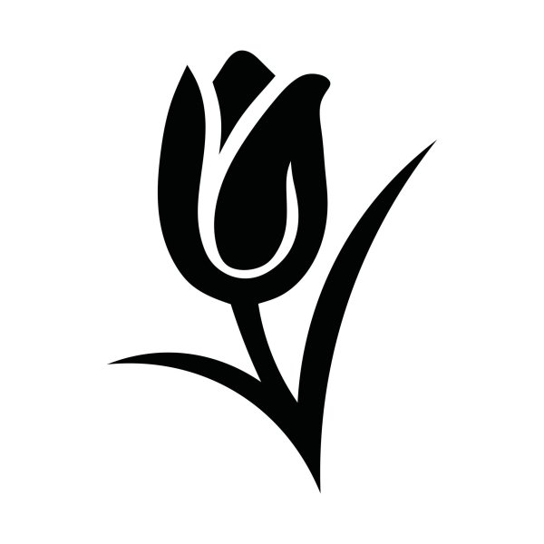 Тюльпан силуэт
