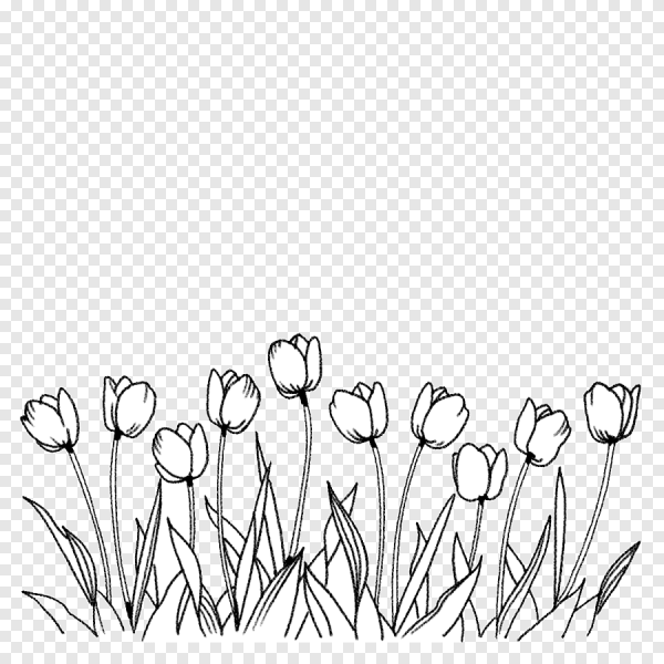 Весенние цветы контур