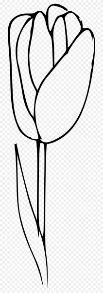 Тюльпан контур