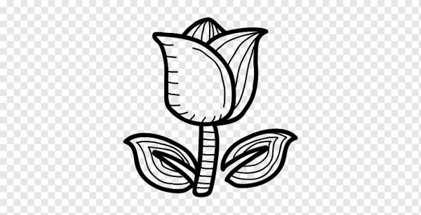 Тюльпан клипарт чб