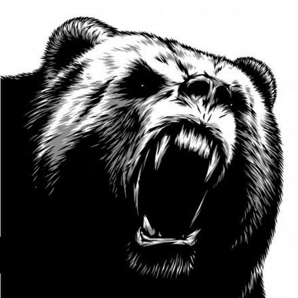 Медведь эскиз вектор