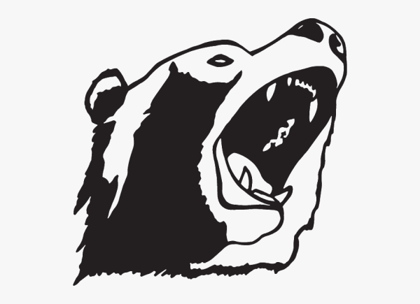 Медведь растровое изображение