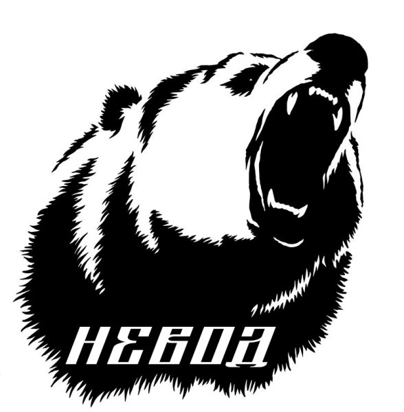 Медведь черно белая Графика