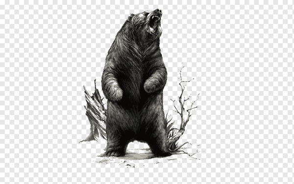 Медведь Графика