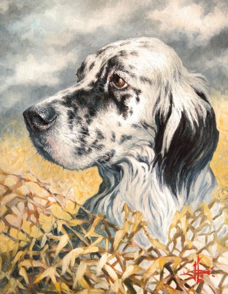 Гавриил Троепольский “белый Бим черное ухо” иллюстрации