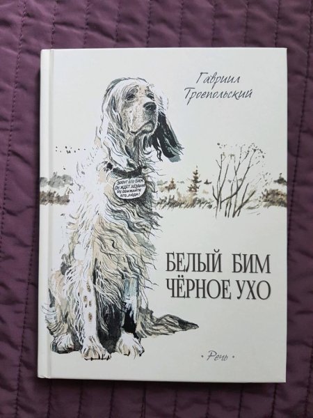 Белый Бим черное ухо рисунок