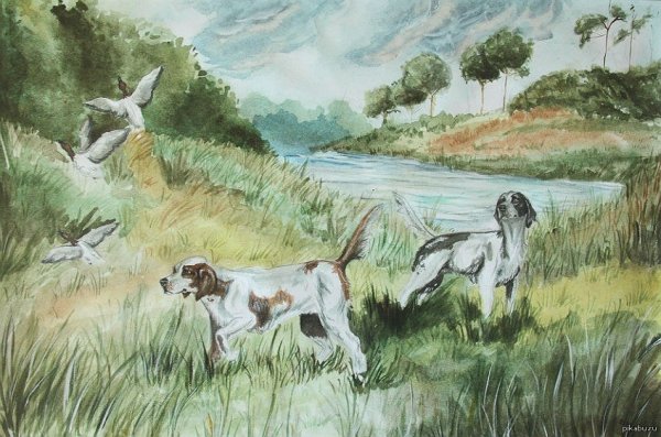 Обложка книги белый Бим черное ухо