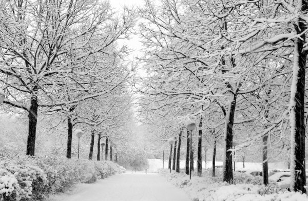 Снежинка контур