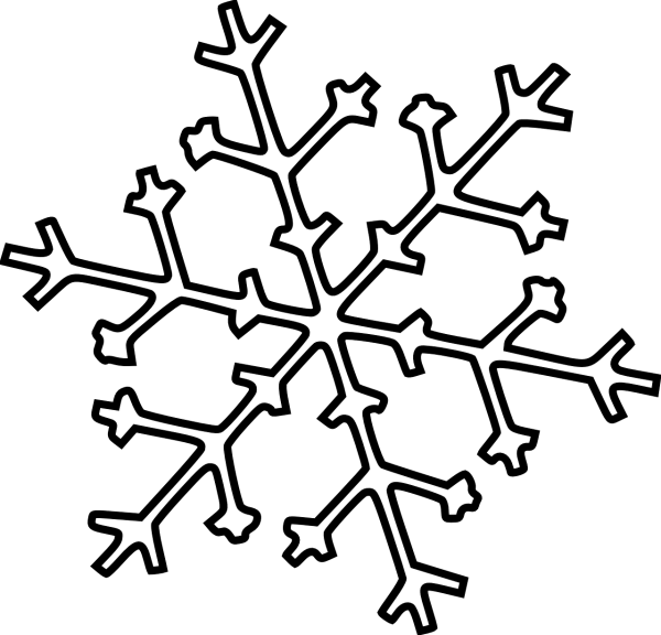 Снежные ветки