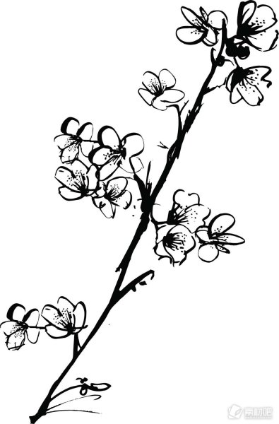 Ветка рисунок