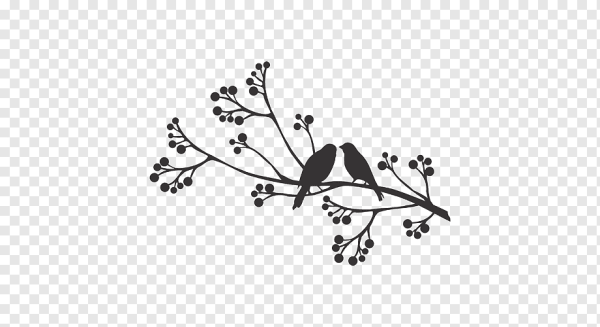 Векторные ветки декоративные