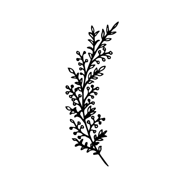 Черные веточки