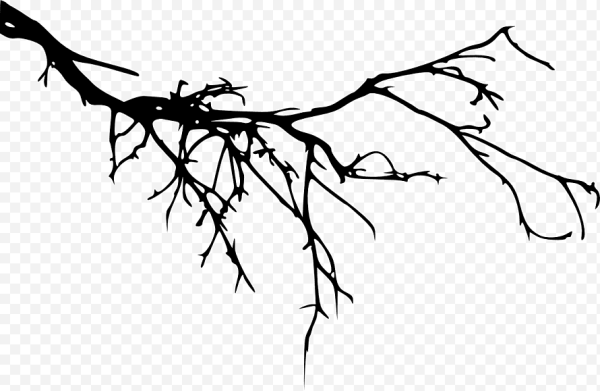 Ветка дерева силуэт