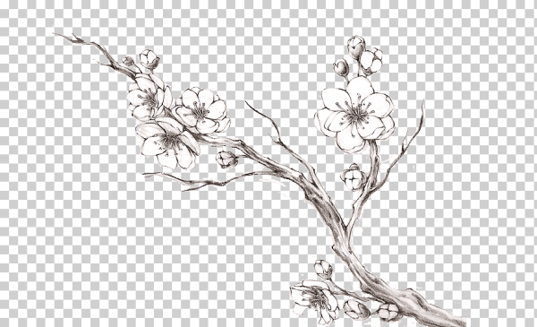 Ветка дерева эскиз