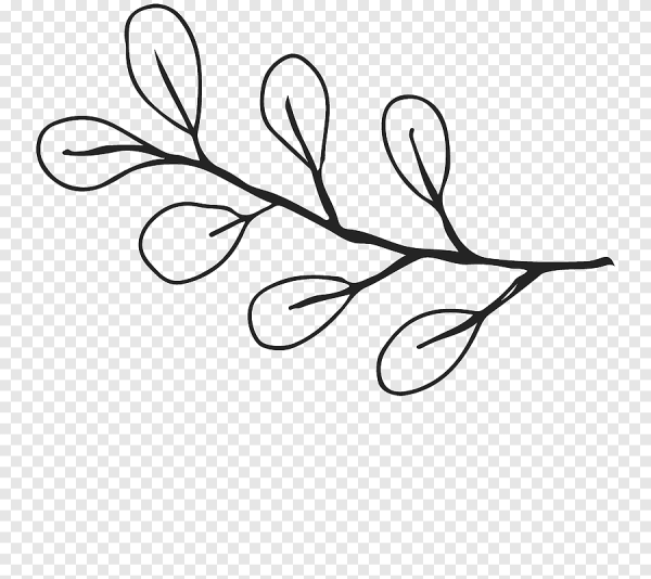Веточка с листочками рисунок