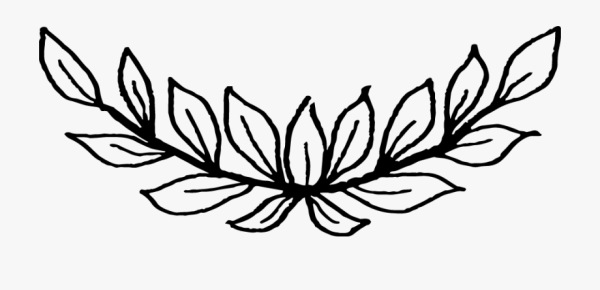 Ветка с листьями черно белая