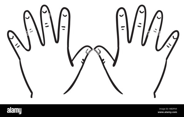 Ладошки левая и правая