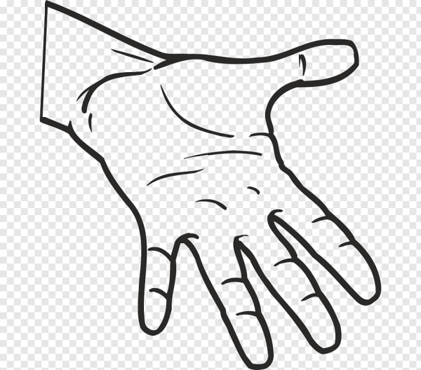 Очертание ладони