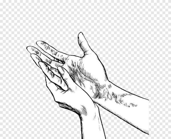 Кисть руки чб